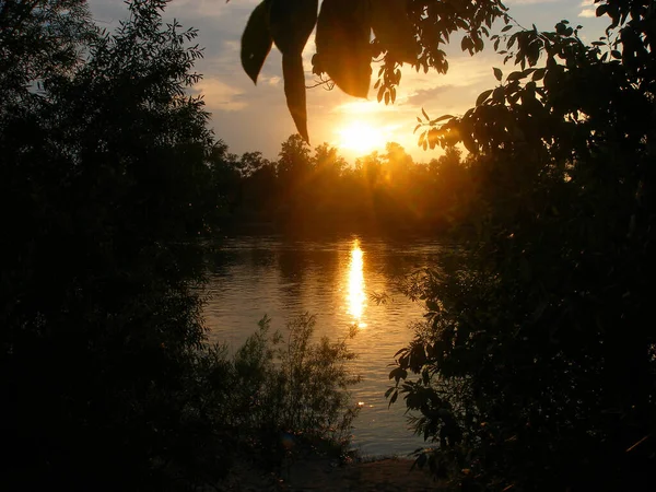 Hermoso Árbol Otoño Reflejo Puesta Del Sol Agua Siluetas Negras — Foto de Stock