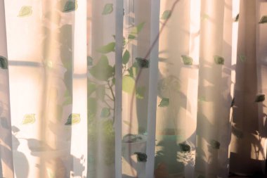 Penceresinde bitkilerin gölgeleri olan beyaz süslemeli perdeler. Çiçek desenli kumaş perdeler. Sepia soyut arkaplan tonu verir. Grunge arka planı. Işıklar ve gölgeler. Grafik gölgesini temizle