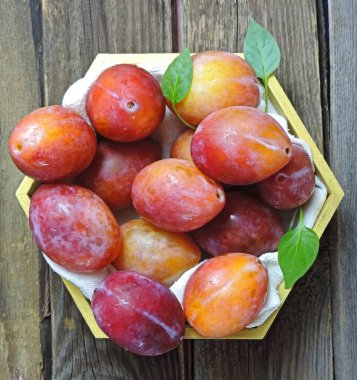 Mutfak bahçesinden alınmış olgun organik meyvelerle dolu kutunun üst görüntüsü. Tahta kutuda sarı ve kırmızı erikler. Renkli yaz hasadı