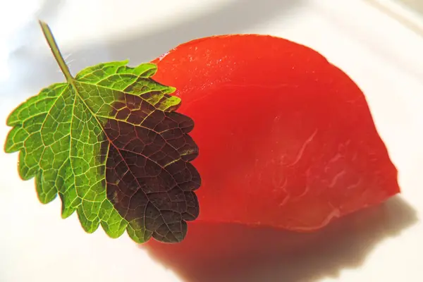 Sappige Tomatenschijfje Met Een Blad Munt Melissa — Stockfoto