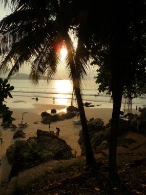 rich sunset color , sun glare and black silhouettes of coconut trees on the seashore in phuket, partial blurred clipart