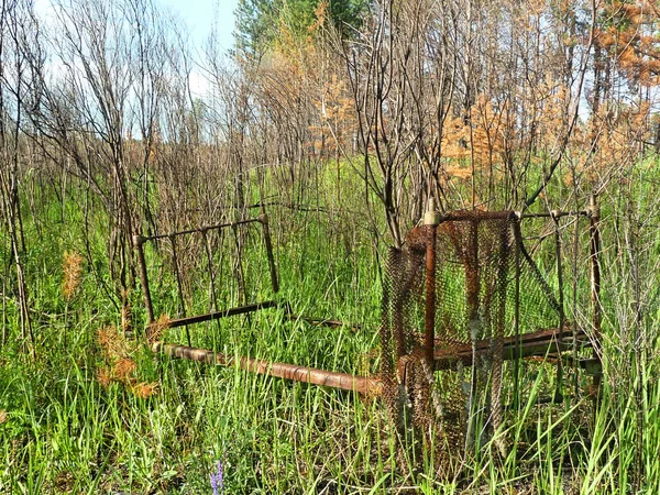 Yeşil ağaçların ve yeşil çimenlerin arka planında metal paslı çubuklarla terk edilmiş eski metal yatak.