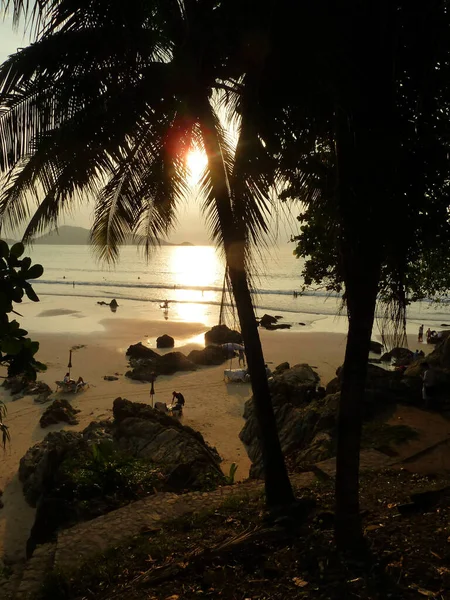 rich sunset color , sun glare and black silhouettes of coconut trees on the seashore in phuket, partial blurred