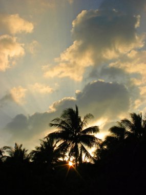 Tayland 'daki tropik adada gün batımı, günbatımının arka planında palmiye ağaçlarının siyah siluetleri, gün batımında güneş ışınları