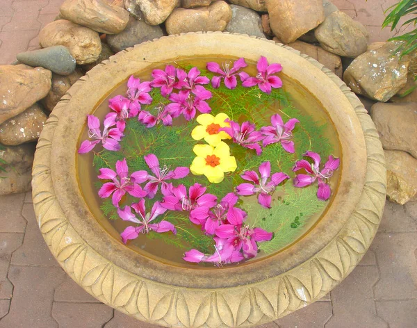 Indische Tropische Blumen Schweben Großer Steinschale Wellness Konzept — Stockfoto