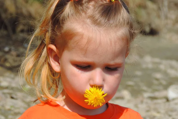 Menina Pensativa Cinco Anos Com Flor Dente Leão Amarelo Nos — Fotografia de Stock