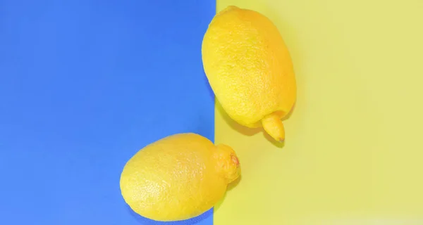Sarı limonların komik şekilleri Çirkin Garip yemek ve çirkin sebze konseptini oluşturur. mavi ve sarı arkaplanda          