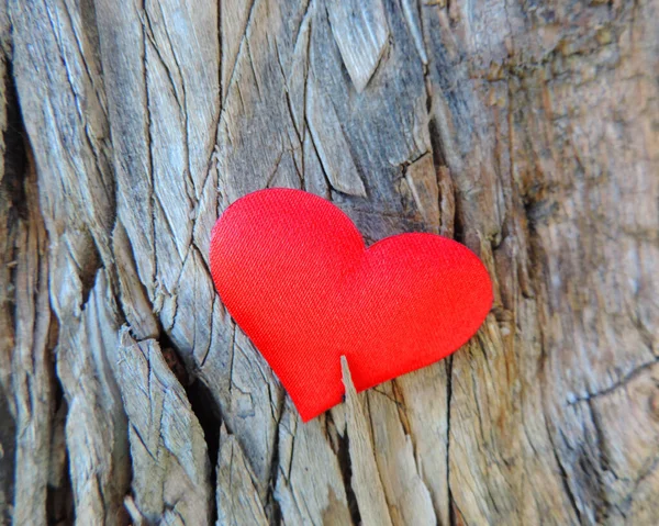 Coeur Rouge Sur Écorce Arbre Texturée Foyer Sélectif — Photo