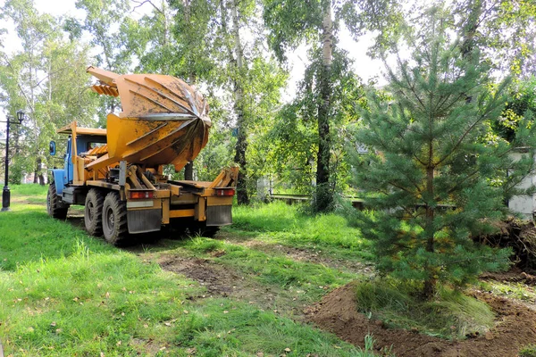 Tree transplanter heavy machine. machine for transplanting large trees. Planting large spruce trees in the park