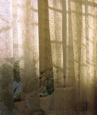         örgü tüller kapalı perdeler gün doğumu veya günbatımı gölgeler ve ışık, pencere kenarındaki saksılar, bej renkli tekstil yüzeyindeki bitki gölgelerinin geçişi ışık ve gölge soyutluğu  