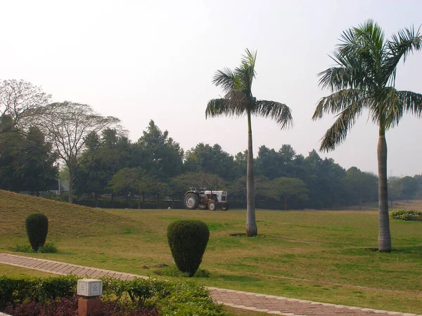 Trekker Werkt Het Gazon Gazon Het Park — Stockfoto