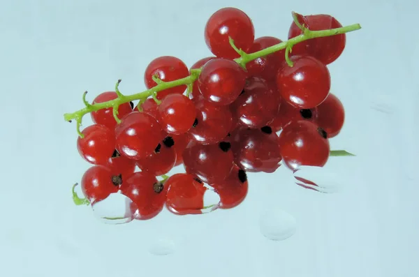 Las Bayas Rojas Grosella Superficie Del Espejo Reflejo Las Gotas — Foto de Stock