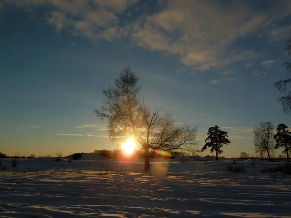Rozmazaný Výhled Zimní Krajina Zamrzlé Pole Soumraku Západu Slunce Holý — Stock fotografie
