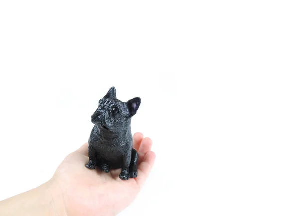 Figurita Negra Perro Pug Palma Niño Aislada Sobre Fondo Blanco — Foto de Stock