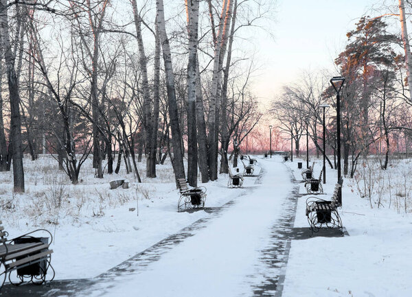 Snow covered trees and benches in the city park. Sunset