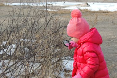 Elinde büyüteçle sıcak kırmızı elbiseli bir kız ağaç dalını inceliyor. Kış çocuk aktivitesi konsepti