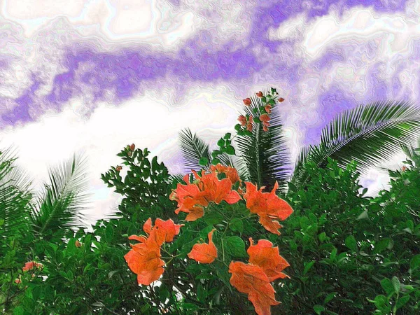 澄んだ曇り空を背景に赤いブーゲンビリアの花 ぼかし後付けシェーディングの効果 — ストック写真
