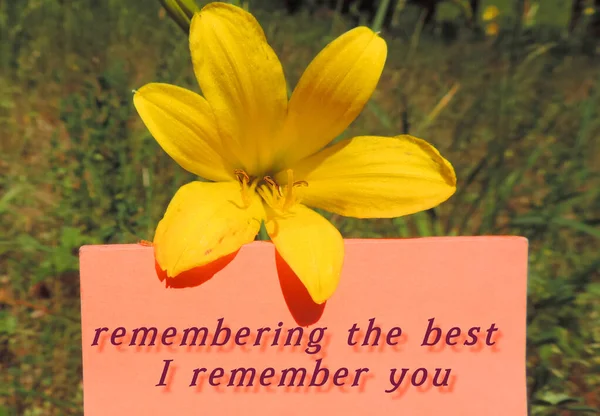 Inspirational love quote. Positive message says Remembering the best I remember you . Blurry background.