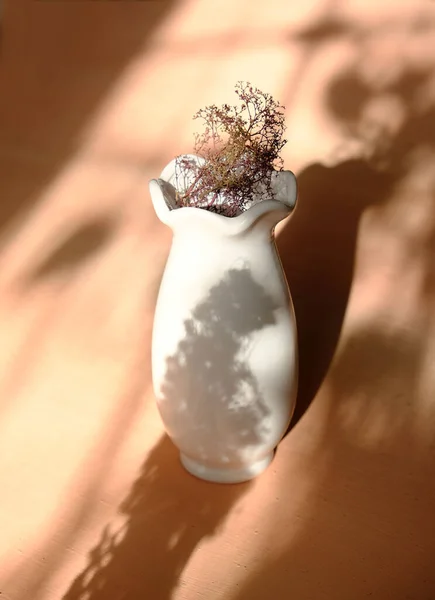 White vase with dried flowers on peach color neutral background casting shadows . Minimal modern interior decoration concept. wabi sabi style aesthetics