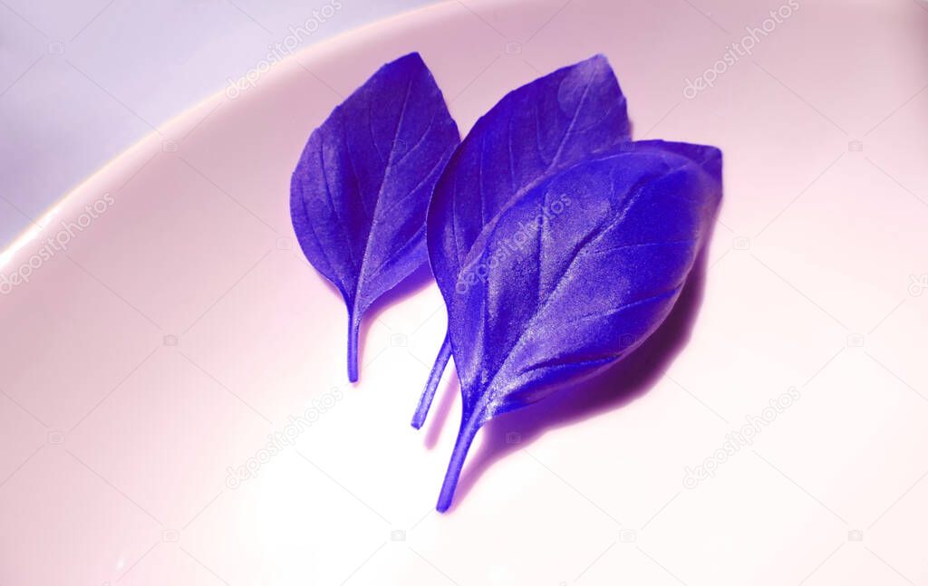 basil leaves painted in indigo blue on a plate