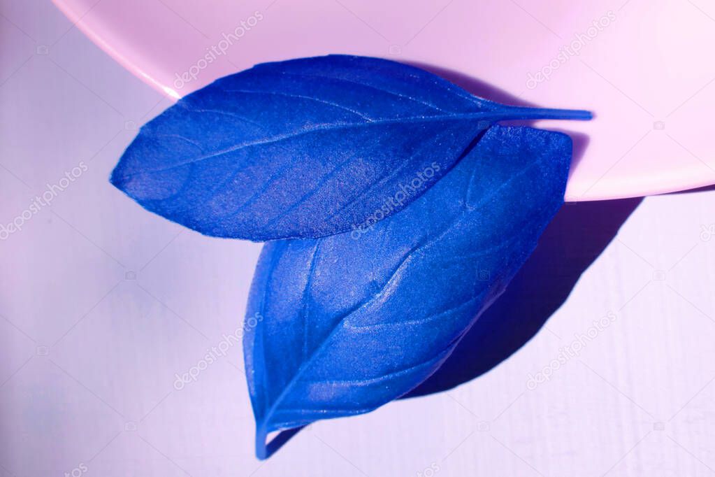 basil leaves painted in indigo blue on a plate          