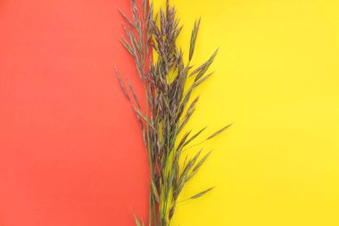 İki tonluk sarı arkaplanda çimen çıkıntıları, düz bir zemin