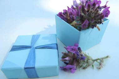 blue gift box tied with a blue bow and lilac flowers