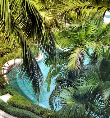 Top view of luxury swiming pool  in tropical jungle and palm trees.          