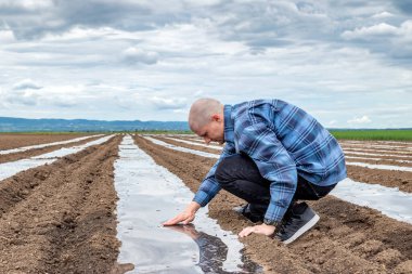 Çiftçi, plastik gübrelerin toprak örtüsü olup olmadığını kontrol ediyor ve izliyor. Açık hava kullanımı için tarım uygulamalarındaki plastik malzemelerden folyo tünelleri ve ziraat filmleri. Boşluğu kopyala.