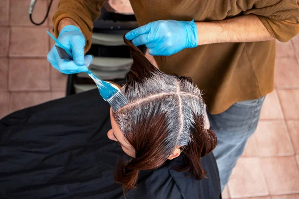Hands Hairdresser Dyeing Hair Female Client Brush Beauty Salon Applying — Stock Photo, Image