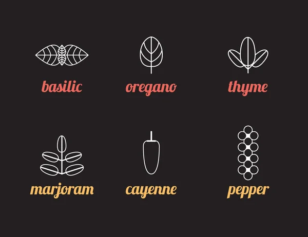 Ícones de ervas —  Vetores de Stock