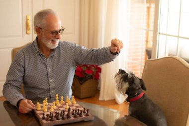 Sakallı yaşlı adam köpeğiyle oturma odasında satranç oynarken dalgın.
