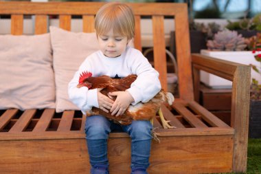 Küçük çocuk evdeki bahçede bir tavukla oynuyor.