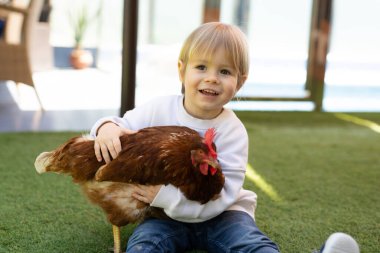 Küçük çocuk evde tavuğu tutuyor.