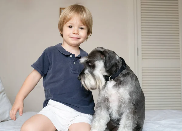 かわいい赤ちゃんが犬と一緒にベッドに座っている 動物愛護 — ストック写真