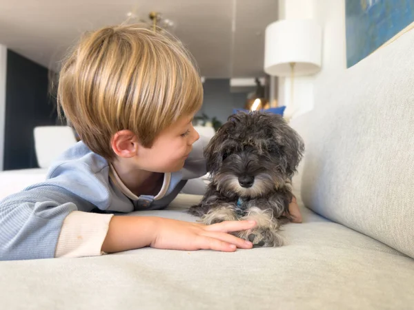 Kapalı küçük sarışın çocuk evdeki kanepede uzanmış yavru köpeğine bakıyor..