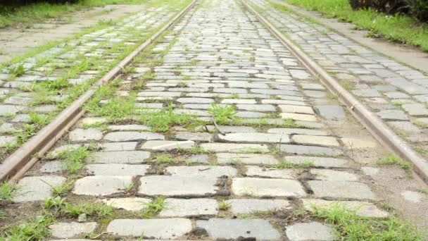 Piste de tramway - herbe 