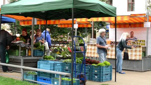 Boerenmarkt in de stad en bomen met mensen — Stockvideo