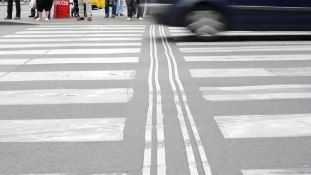 Piétons en attente aux feux de circulation - rue urbaine animée avec des voitures dans la ville : personnes traversant la route - détail des jambes — Video