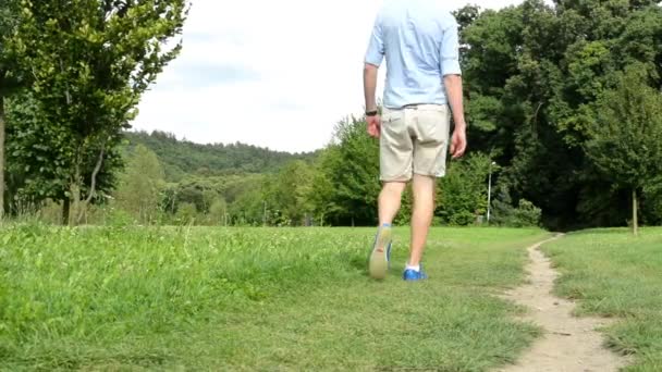 El hombre va solo por el sendero en el parque - el árbol y la hierba — Vídeos de Stock