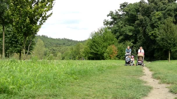Zwei Frauen mit Kindern im Kinderwagen gehen im Park mit einem kleinen Mädchen auf einem Fahrrad - Tress und Gras — Stockvideo