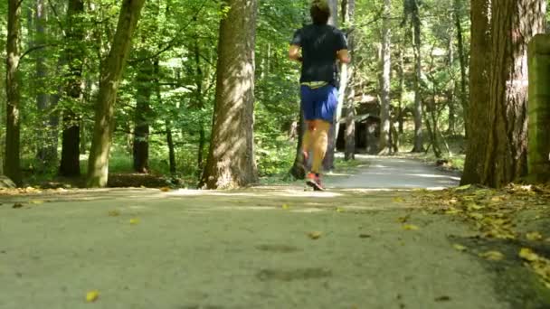 Muž sport - běh - forest: park (stromů) - stáž - sluncí paprsky - jezdec — Stock video