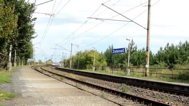 Tren expreso pasa una estación de tren - naturaleza (árboles) - aviso de la ciudad - cielo nublado - viento — Vídeos de Stock