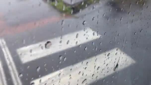 Arrière-plan - gouttes d'eau sur la fenêtre - route (asphalte) avec lignes - en mouvement (conduite) - (flou ) — Video