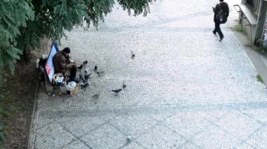 evsiz adam yayınları güvercinler - çevresindeki insanların yürüyüş - sokakta kaldırım ve ağaç