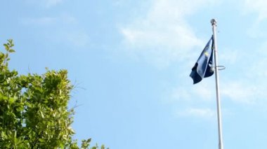 Avrupa Birliği bayrağı - yeşil ağaç - mavi gökyüzü - güneşli