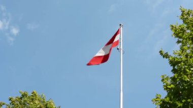 Avusturya bayrağı - yeşil ağaçlar - mavi gökyüzü - güneşli