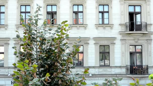 Old building (hotel) - windows and balcony - green tree — Stock Video