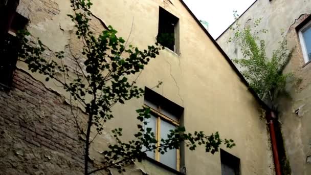 Edifícios antigos com árvores - janela - em ruínas — Vídeo de Stock