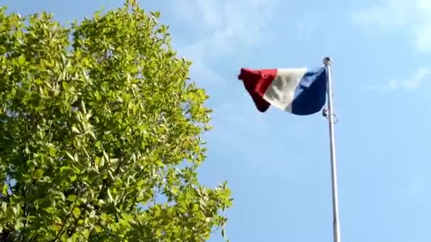Französische Flagge - grüner Baum - blauer Himmel - sonnig — Stockvideo